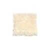 Thecottoncommons.shop62c63159b7 7