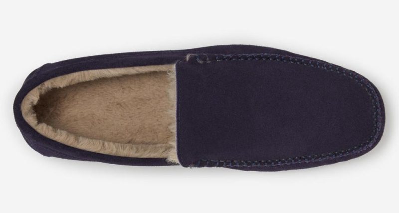 Thecottoncommons.shop07c7655f41 4