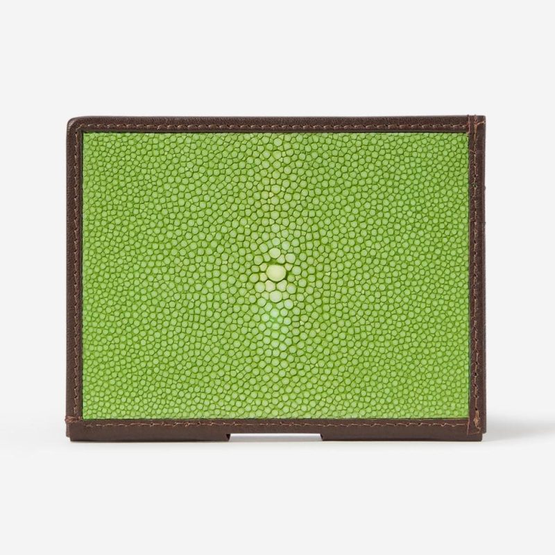 Thecottoncommons.shop18a51eb944 1