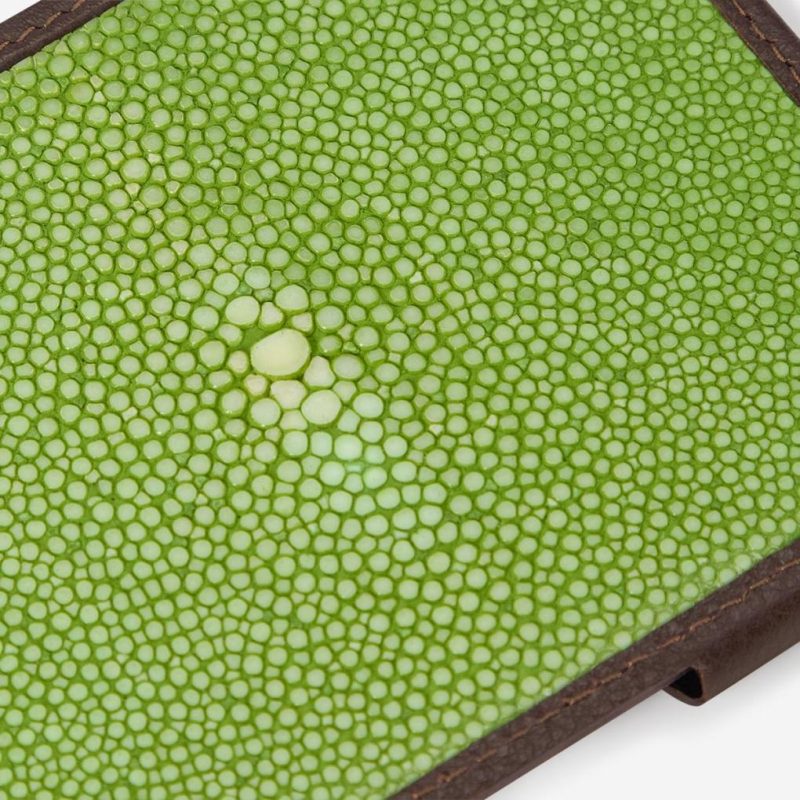 Thecottoncommons.shop18a51eb944 5