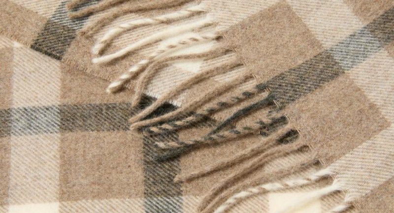 Thecottoncommons.shop1ab50490c0 2