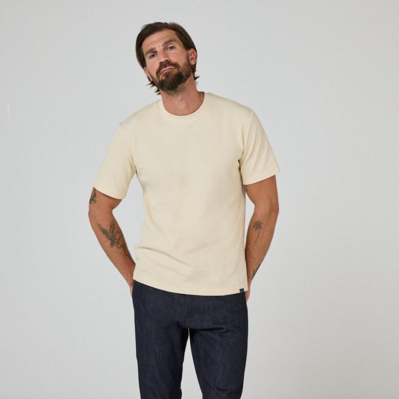 Thecottoncommons.shop34735d648d 1