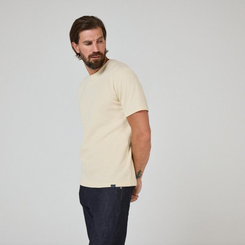 Thecottoncommons.shop34735d648d 2