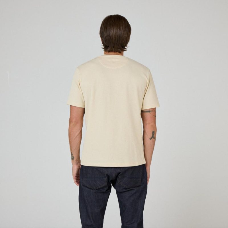 Thecottoncommons.shop34735d648d 3