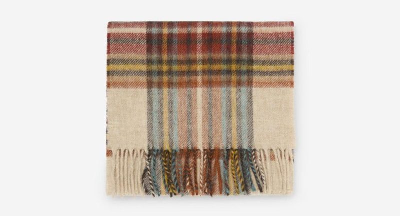 Thecottoncommons.shop5636dc3124 1