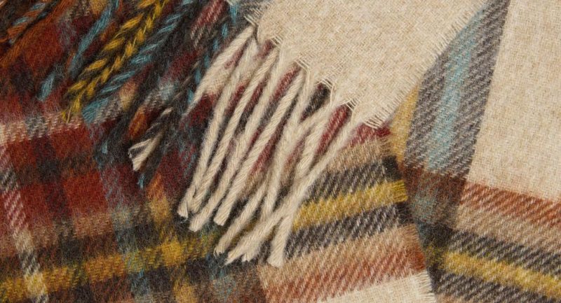 Thecottoncommons.shop5636dc3124 4