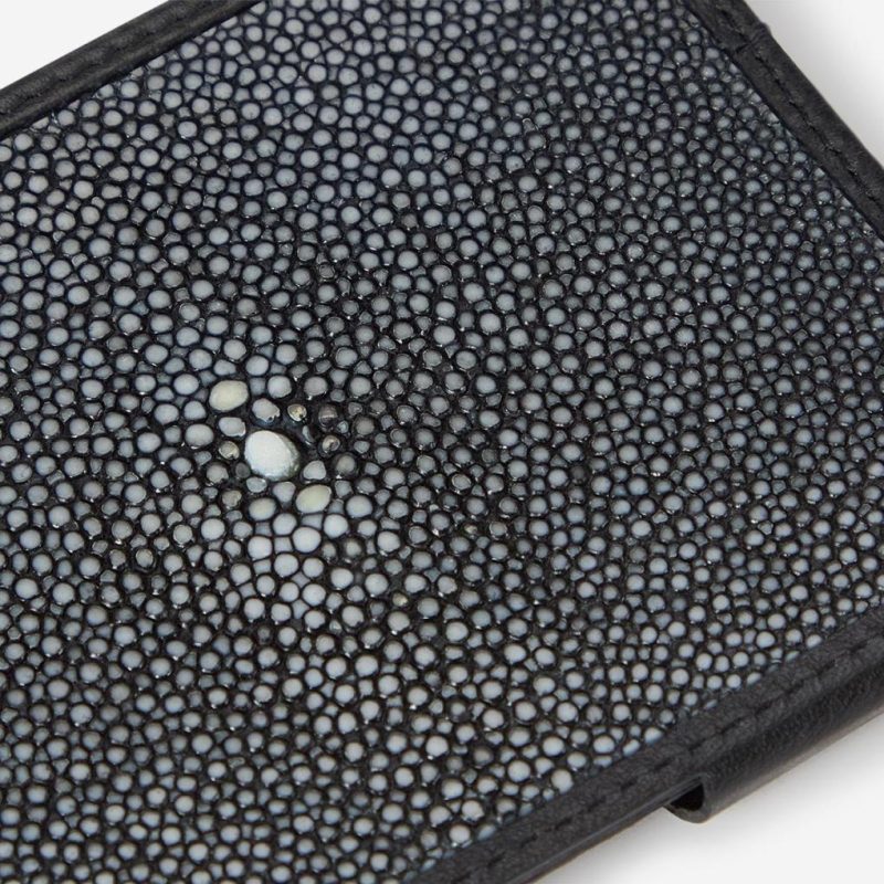 Thecottoncommons.shop67411bcb36 5