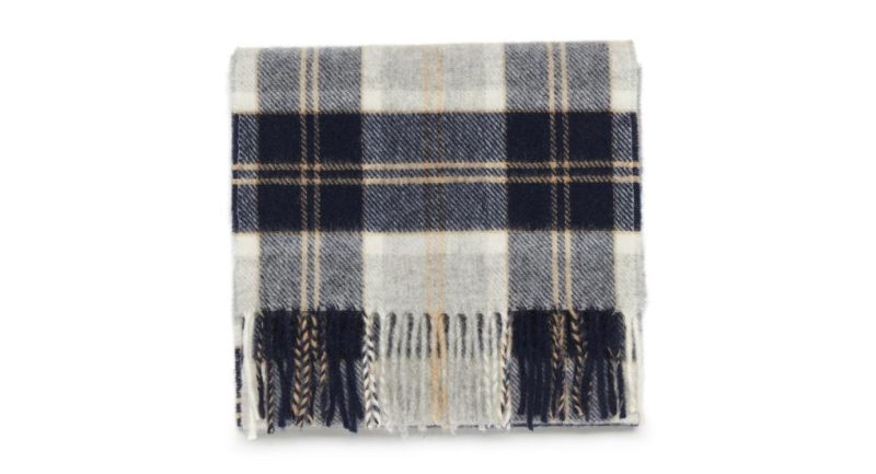 Thecottoncommons.shop777c46d2bd 1