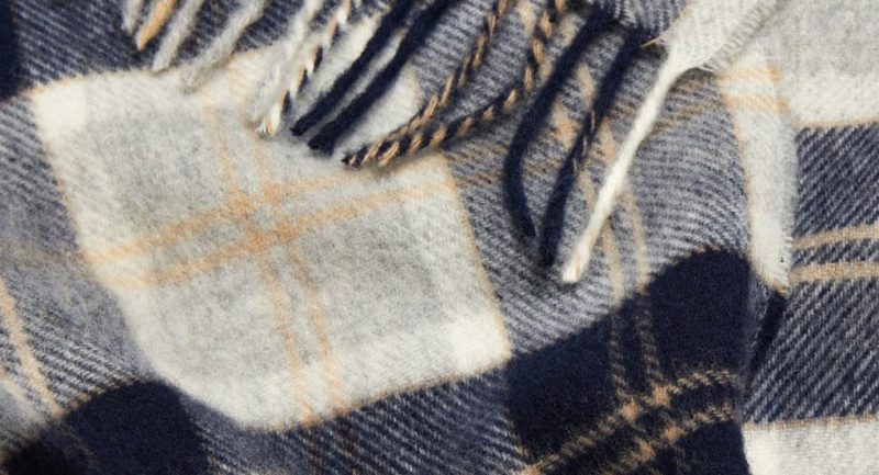 Thecottoncommons.shop777c46d2bd 2