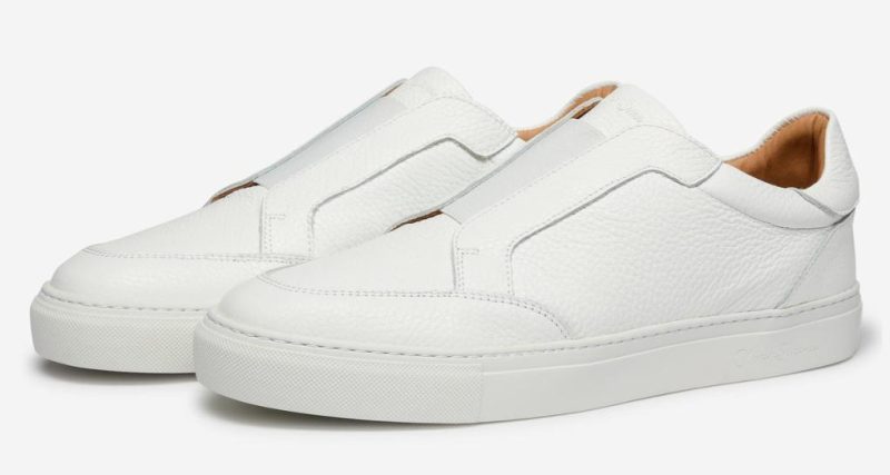 Thecottoncommons.shop8922109a97 2