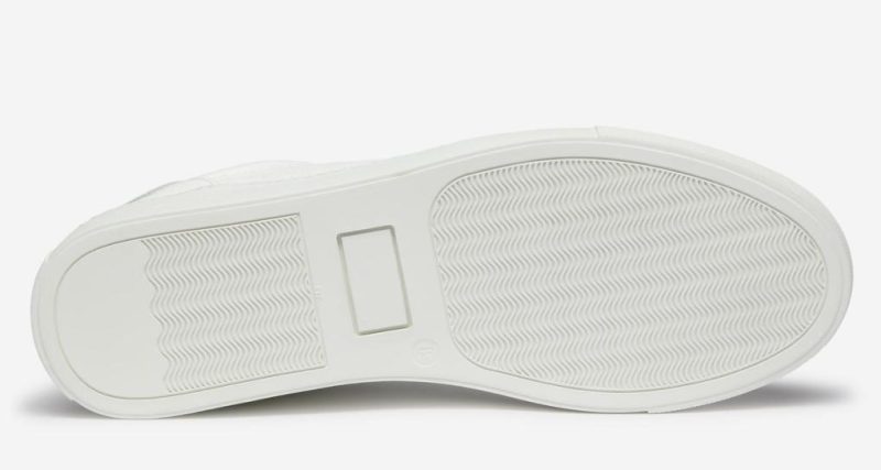 Thecottoncommons.shop8922109a97 3