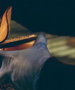 Thecottoncommons.shop8f3e224183 2