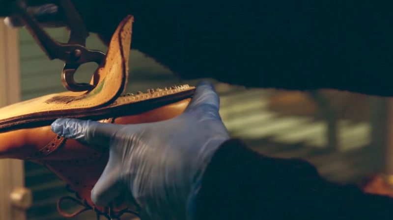 Thecottoncommons.shop8f3e224183 2