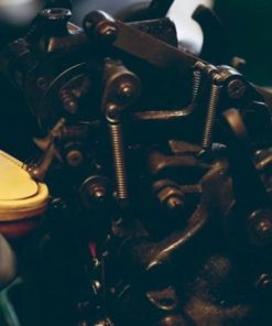 Thecottoncommons.shop8f3e224183 5