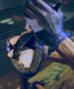 Thecottoncommons.shopa92c55204a 3