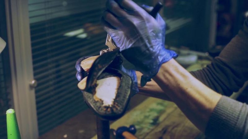 Thecottoncommons.shopa92c55204a 3