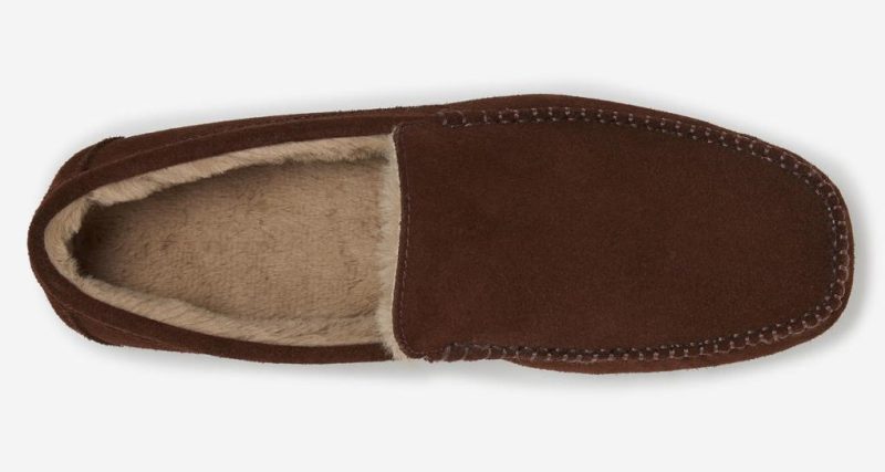 Thecottoncommons.shopae1ec4eba3 4