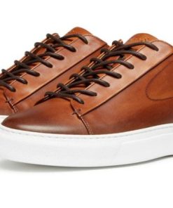 Thecottoncommons.shopc10282bc08 1