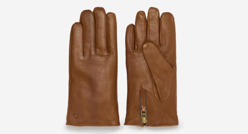 Thecottoncommons.shopc67dd6e03b 1