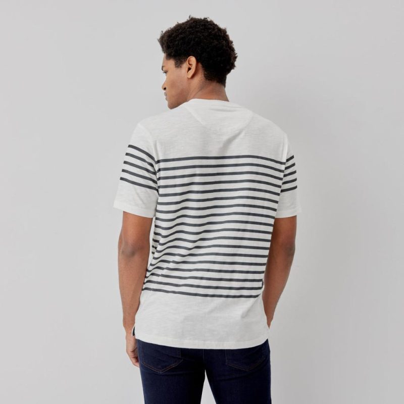 Thecottoncommons.shopcd3695f69b 3