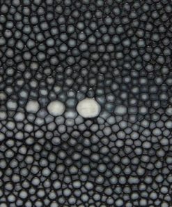 Thecottoncommons.shopd03da88445 3