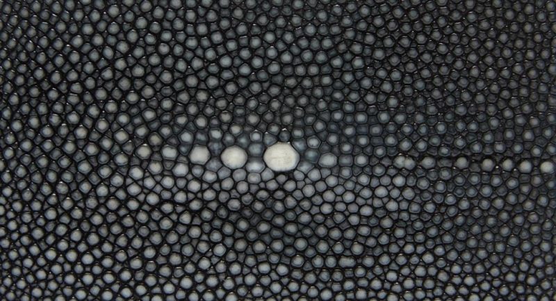 Thecottoncommons.shopd03da88445 3