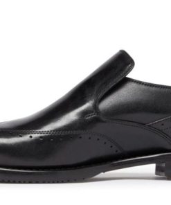 Thecottoncommons.shopd9115099d8 5